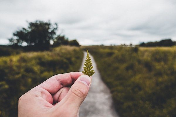 Exploring the Sling Feature Model: Part 1