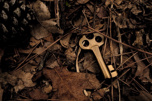 The Missing Guide to Your Adobe Managed Services Servers